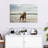 Brampt Pit Bull On Beach-106428988