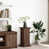 Brown oak/Look