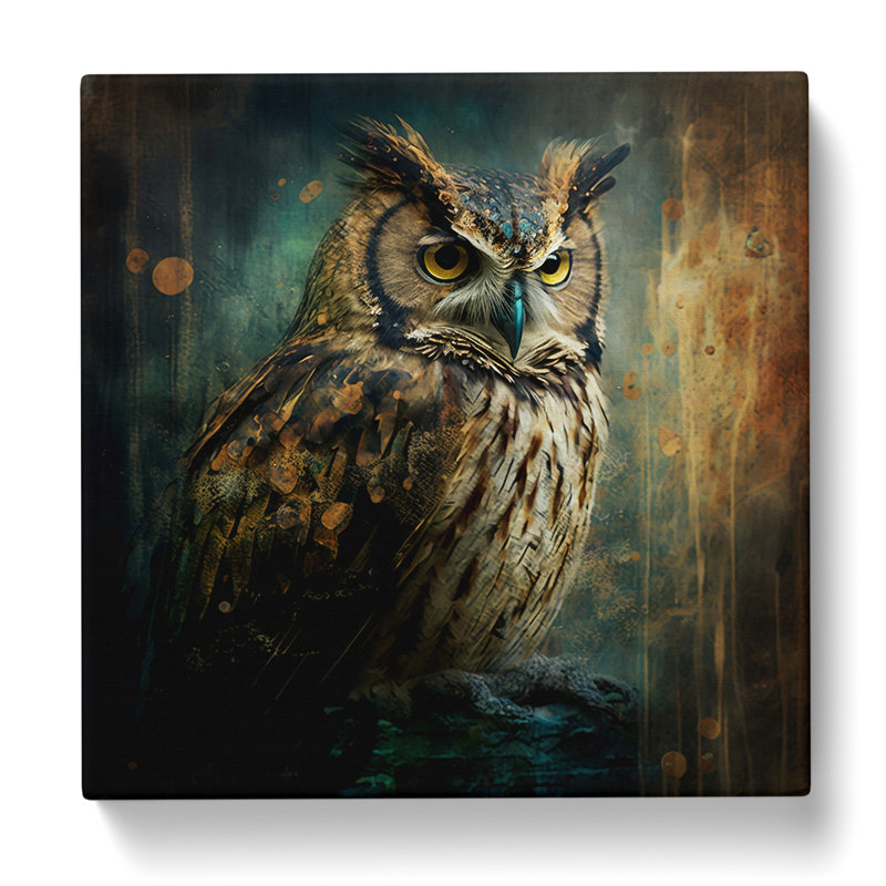 Owl Grunge Art - Wrapped Canvas, 35cm H x 35cm W