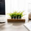 Faux plantes artificielles en bois d'acacia