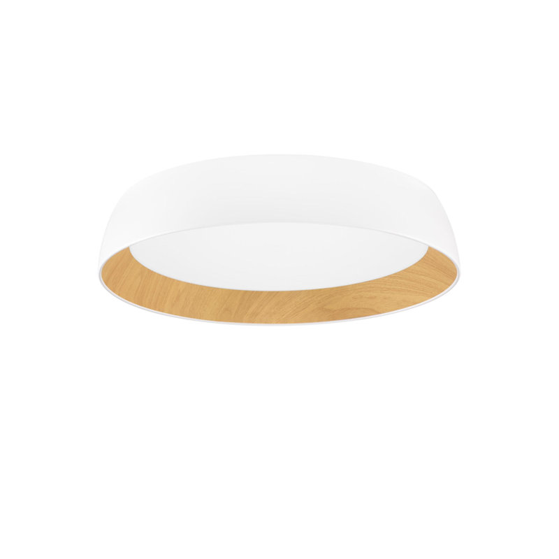 Flush Mount