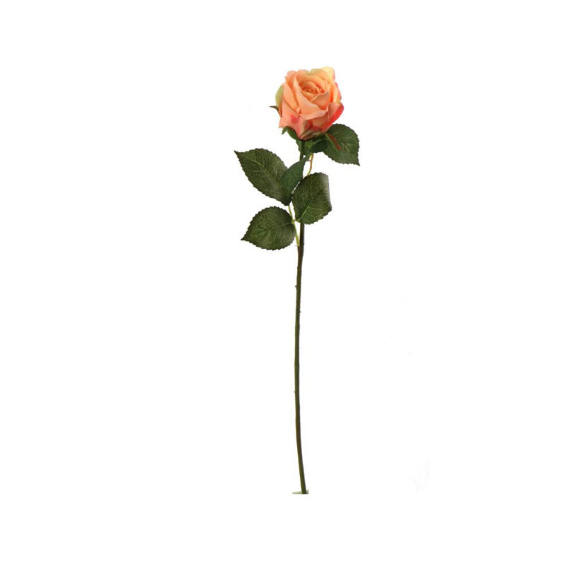 Tige rose 20 po - paquet de 12