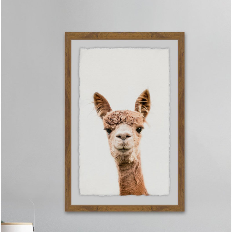 " Llama Face II ", 24" H x 16" W