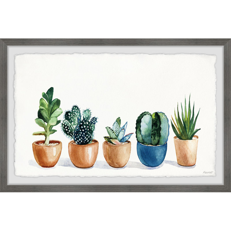 Growing Succulents - Single Picture Frame Painting, 20 cm H  x 30 cm W