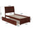 Fitzsimmons Solid Wood Platform Bed with Panel Footboard and Trundle-202233335