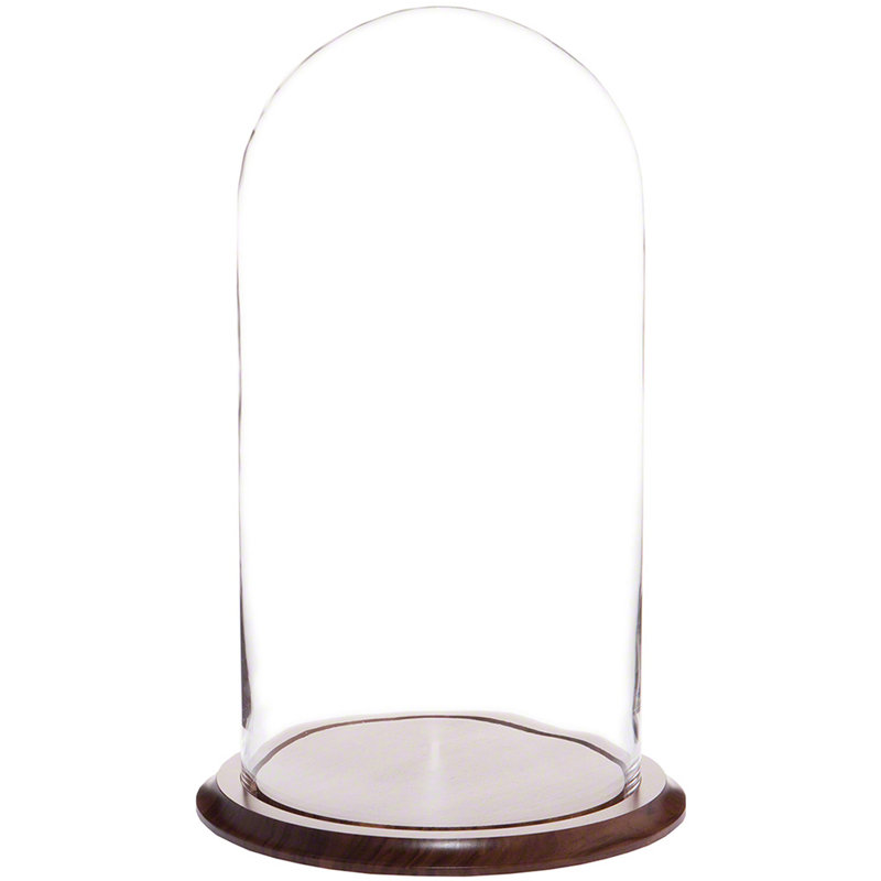 Vucciria Glass Display Dome Cloche, Walnut Base, 20" H x 9.75" W x 9.75" D