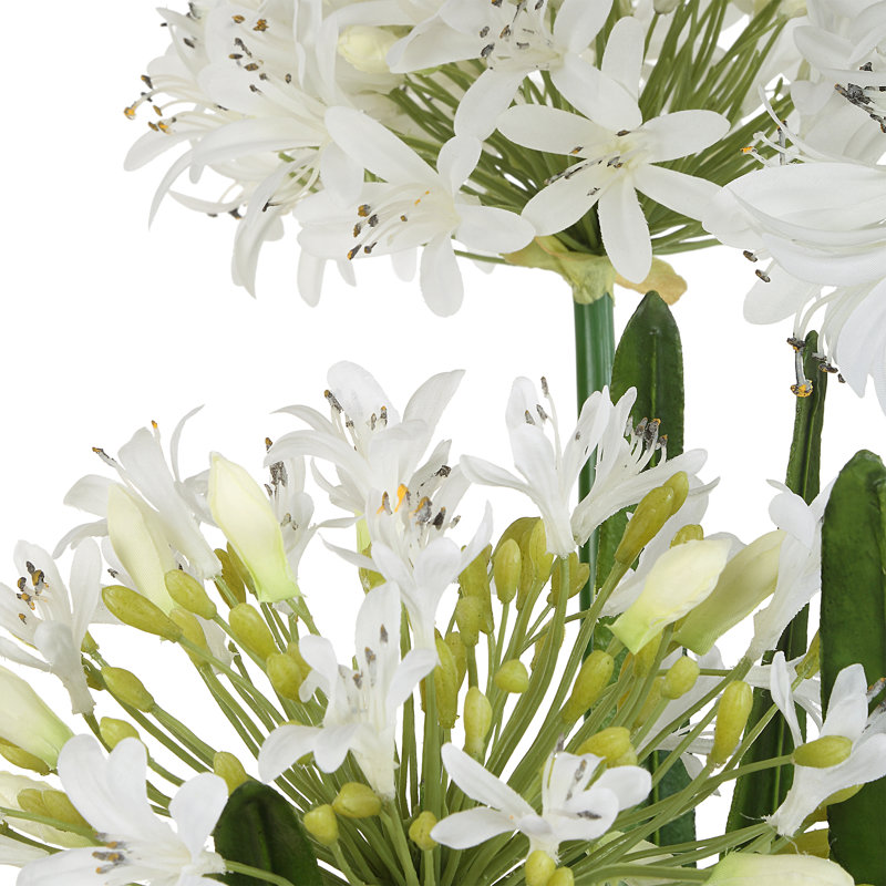Centre de table Agapanthus de pureté