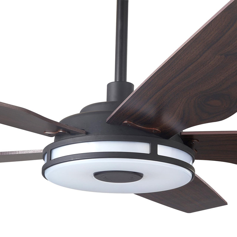 Ventilateur de plafond intelligent intérieur / extérieur Elira de 52 pouces, ensemble d'éclairage à DEL à intensité variable et télécommande, fonctionne avec l'assistant Google, Amazon Alexa et les raccourcis Siri.