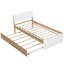 Modern Twin Bed Frame For White High Gloss Headboard And Footboard Light Oak Trundle -551170413