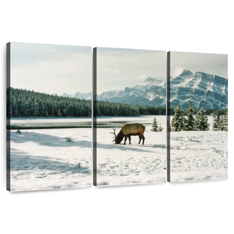 Wapiti Brampt Banff, H 48 po x l 74 po
