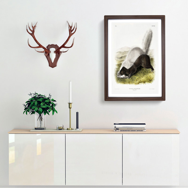 Texan Skunk by J.W. Audubon - Framed Print, 48cm H x 36cm W x 2cm D, Walnut Framed