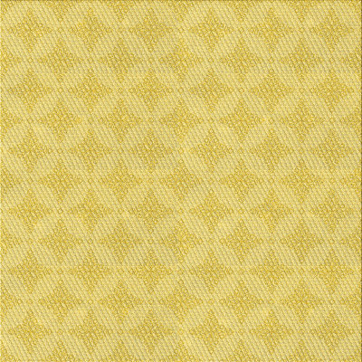 Indoor Rug