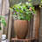 Ruhhena Pot Planter-1456239922