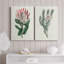 Protea N13 - ensemble de 2 impressions-909019862-909019856