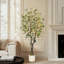 Eucalyptus d'intérieur d'intérieur-134997721