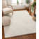 Madison Shag Solid Colour Area Rug