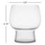 Phoebe 14 oz. Double Old Fashions Glasses-1638331089