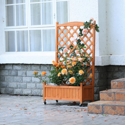 Outdoor Raised Garden Bed Wood Planter Box With Trellis