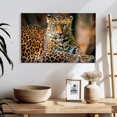 Léopard de la faune Brampt Jungle