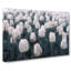 Field Of White Tulips - Wrapped Canvas Painting-55370305