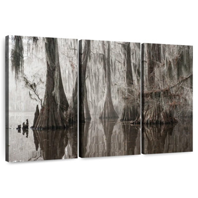 Harnek Trees Growing In Caddo Lake