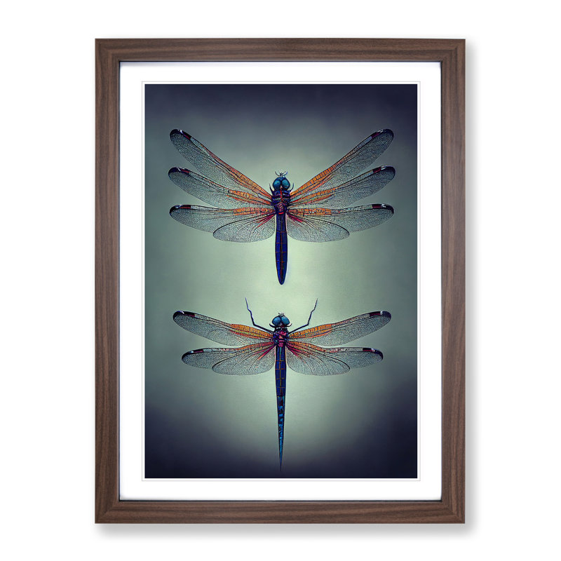 Spellbounding Dragonflies - Framed Print, 34cm H x 25cm W x 2cm D, Walnut
