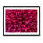 Black Framed Paper selected