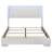 Clapp Wood Queen LED Panel Bed White High Gloss-20437065