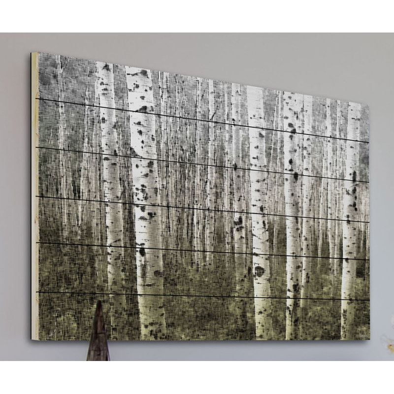« aspen highland » par parvez taj,, reproduction d’art sur bois blanc