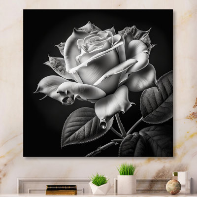 «Blossoming White Rose On Black II», art mural rose