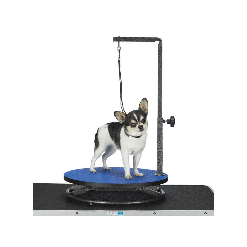 Metal Tabletop Grooming Table, Blue