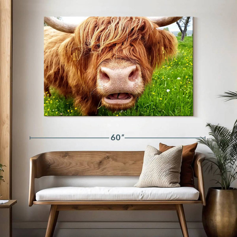 Brampt Long Hair Cow, 34" H x 51" W
