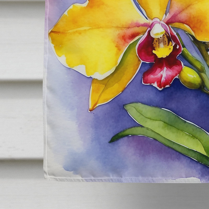 Drapeau de la maison, Orchidées Oncidium