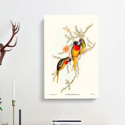 Splendid Grass-Parakeets by Elizabeth Gould - Wrapped Canvas
