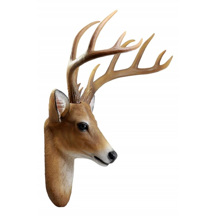 Deer & Deer Hunting April/May 2023 (Digital)