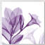 Lavendar Mandelilla - Wrapped Canvas Print-733479344