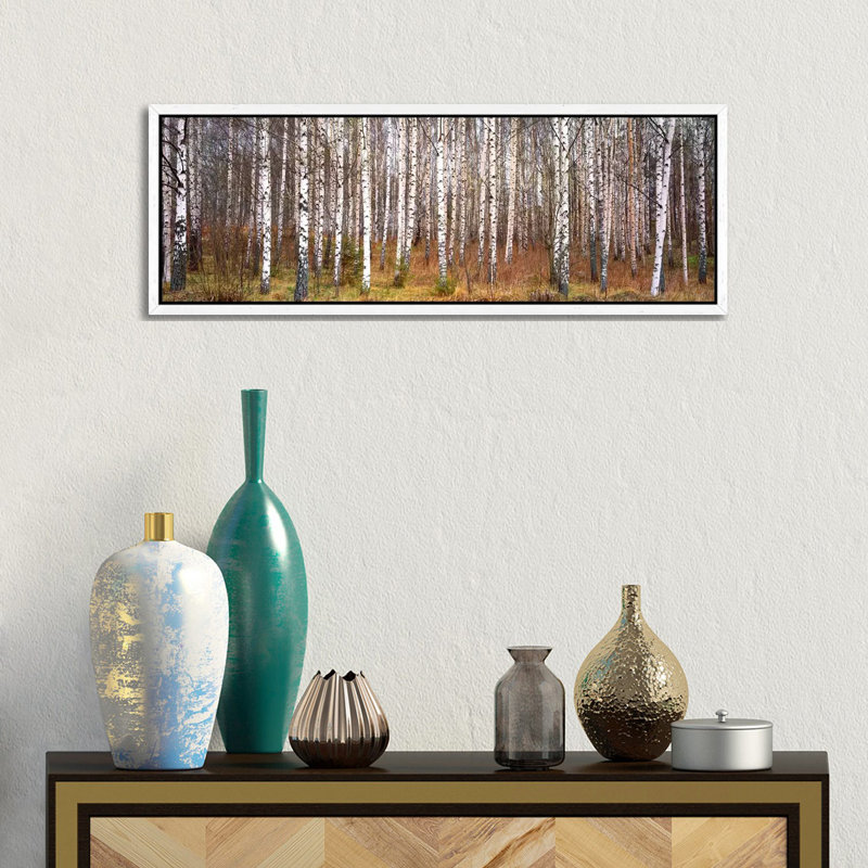 Silver Birch Trees In A Forestnarke, Sweden - Wrapped Canvas Panoramic Print, White Floater Framed, 30.48 cm H x 91.44 cm W