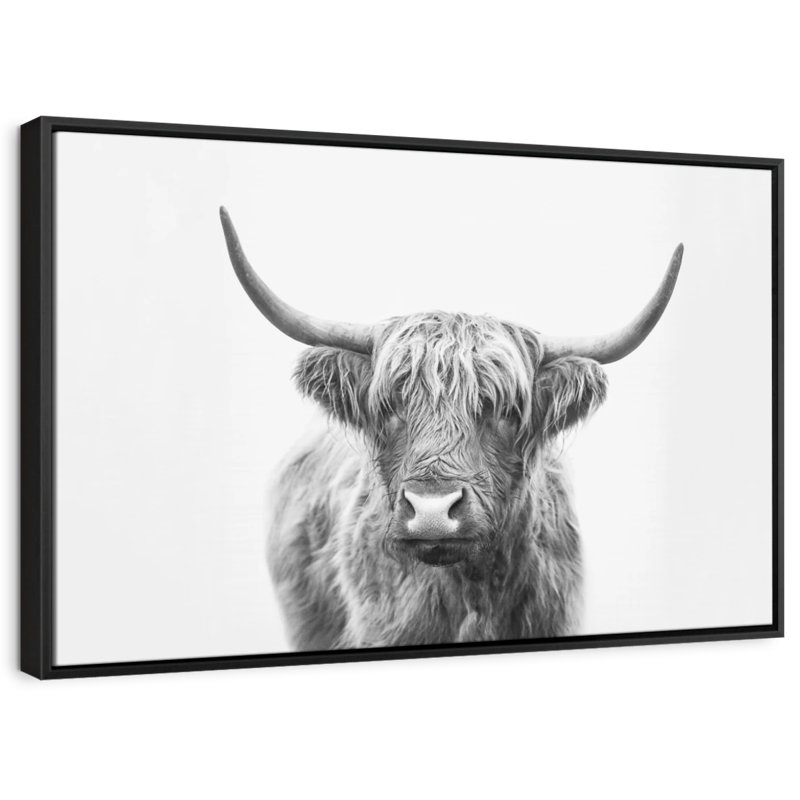 Impression sur toile Highland Bull I, H 40 po x l 27 po