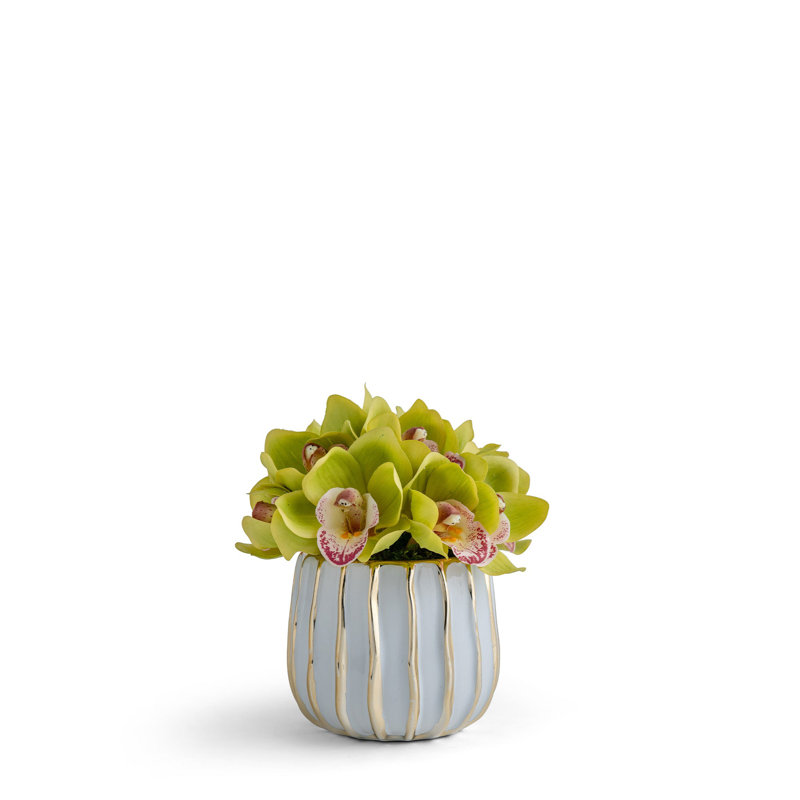 Pave Orchids