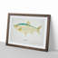 Illustration of a Sardine by F.E. Clarke - Picture Frame Painting Print-55579526-55579525