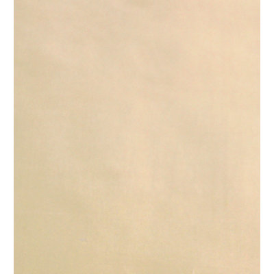 Essential Silks Dynasty Taffeta Fabric