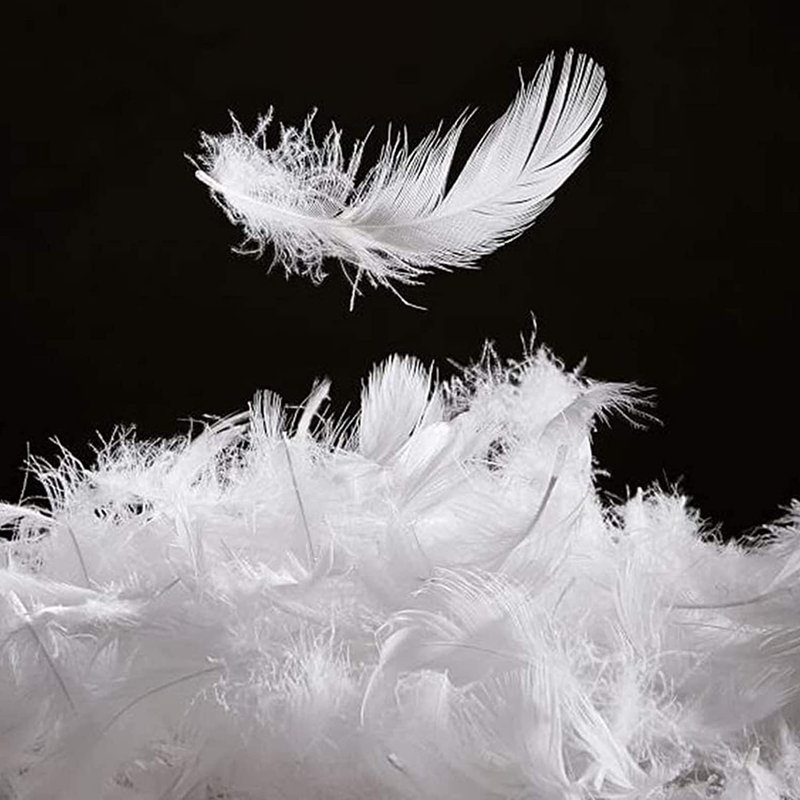 All Seasom Goose Down And Feather And 100% Cotton Cover - Stand-Alone Down Comforter, Queen Down Comforter