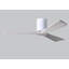 Irene Ceiling Fan-435741716-435629846-493490764