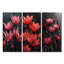 Monochromes rouges, noirs, pissenlits, gouttes de pluie-1756155461-1756155467-1756155464