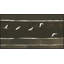 Flock Together 3 Print by Thom Filicia