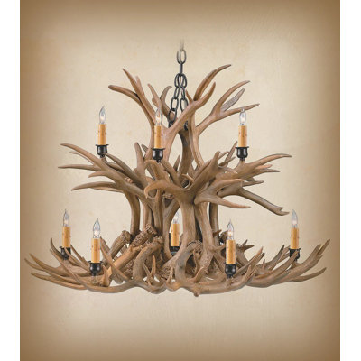 12 - Light Chandelier
