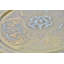 Decorative Tray