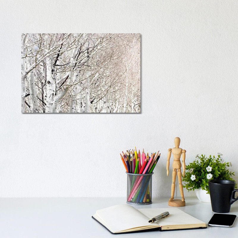 Row Of White Birch Trees 1 Piece Wrapped Canvas Wall Art, 20.32 cm H x 30.48 cm W