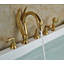 Support de douche Juno Gold Swan
