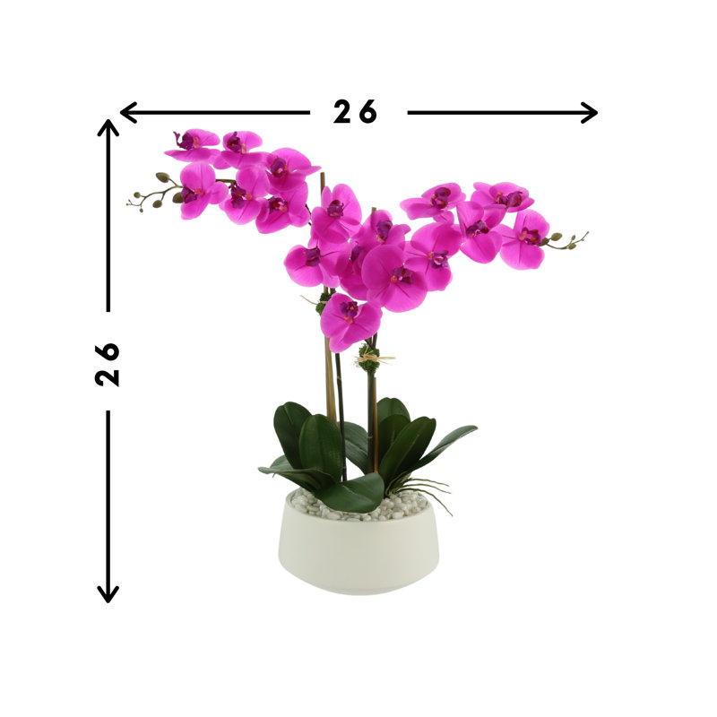 Orchids In A White Container With Rocks